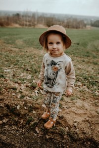 Bluza dresowa z panelem - zebra