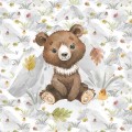 Bluza dziecięca - sweet teddy.jpg
