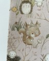 image00673.jpeg