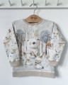 image01439.jpeg