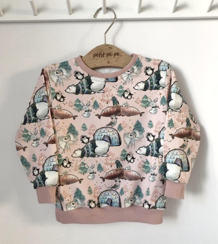 Bluza dziecięca - arktyczne klimaty.jpg