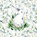 Bluza dziecięca - bunny2.jpg