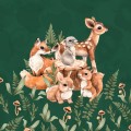 Bluza dziecięca - friend from the woods2.jpg